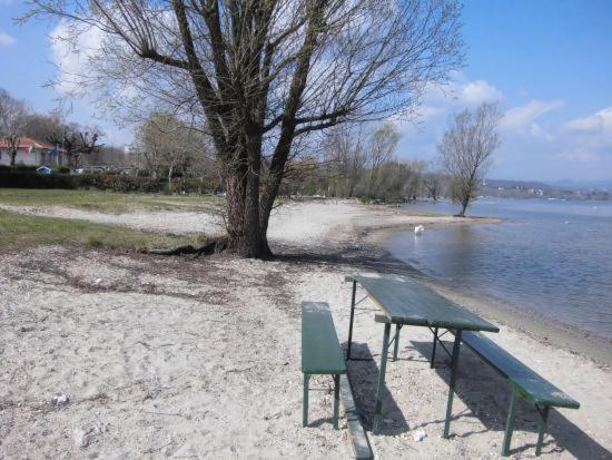 Lake Maggiore 2 Minutes Apartment Dormelletto Exterior foto